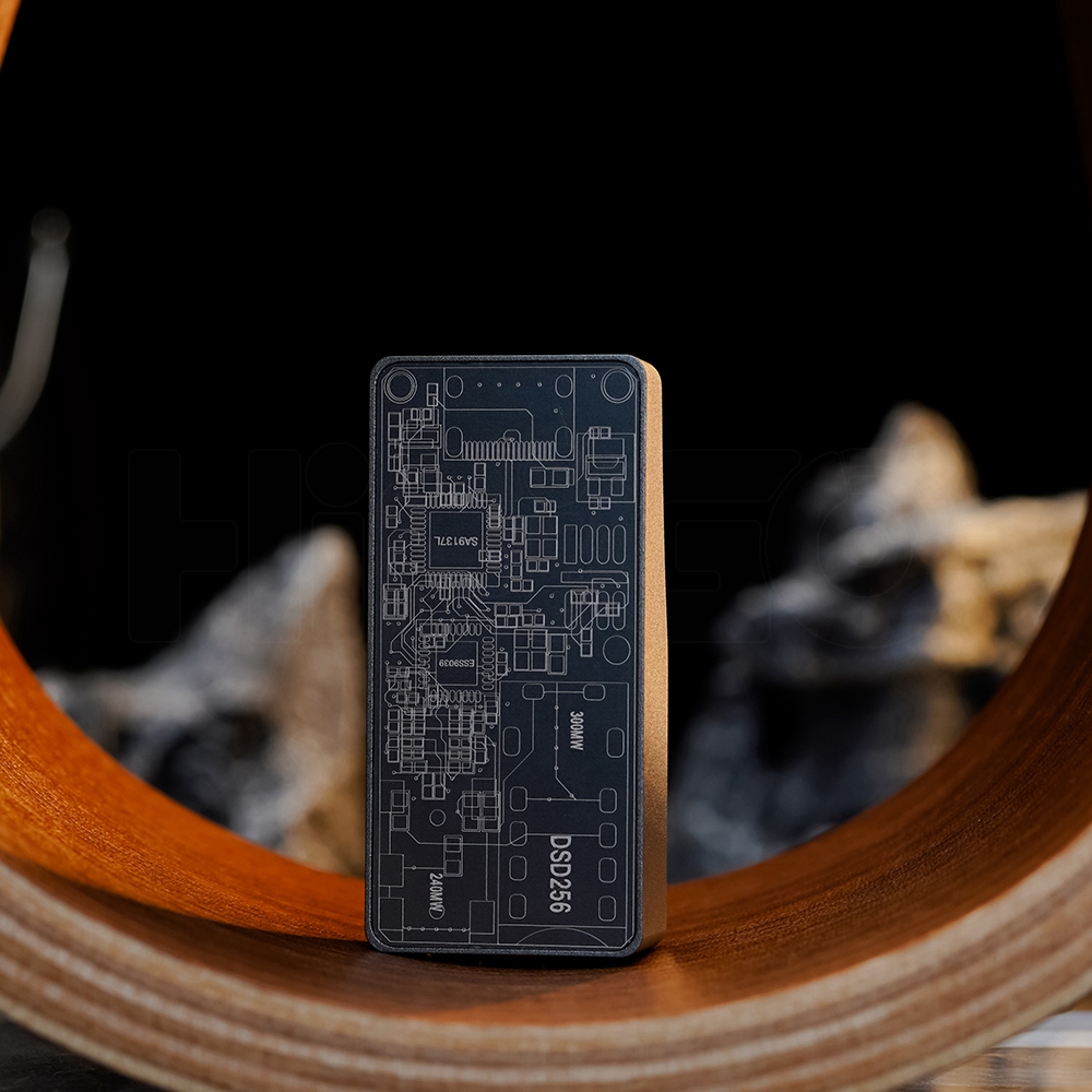 ROSESELSA RS9039 Portable Flag - đánh giá và giá Dac With Headphone Amp Balanced