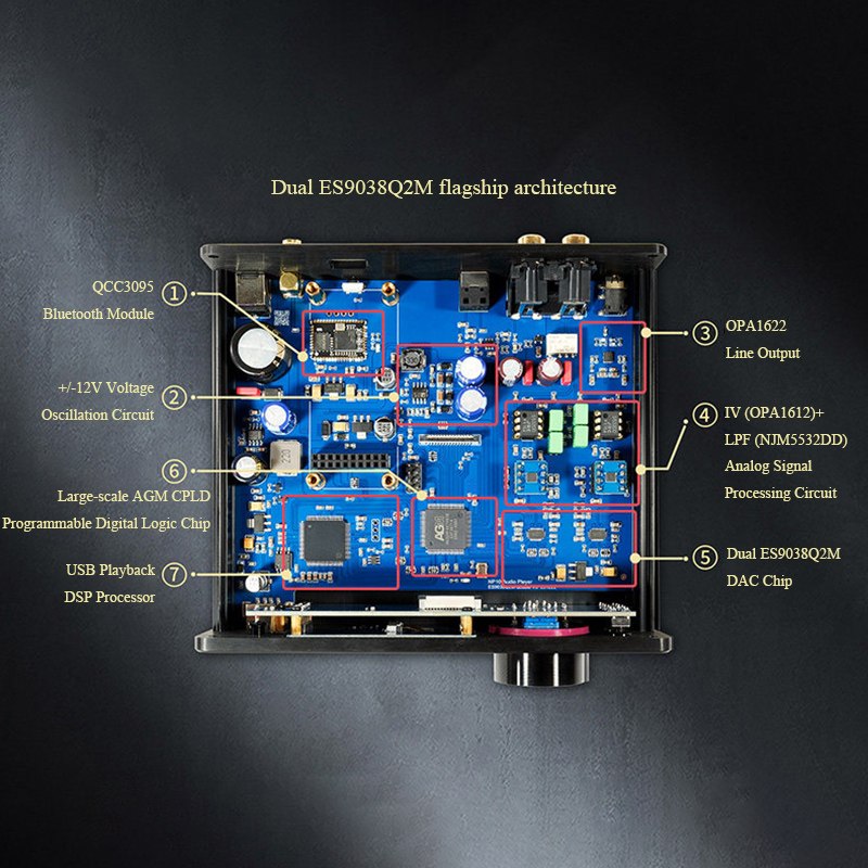 NP10H Lossless Audio Decoder D - đánh giá và giá Dac Usb Coaxial Optical Bluetooth