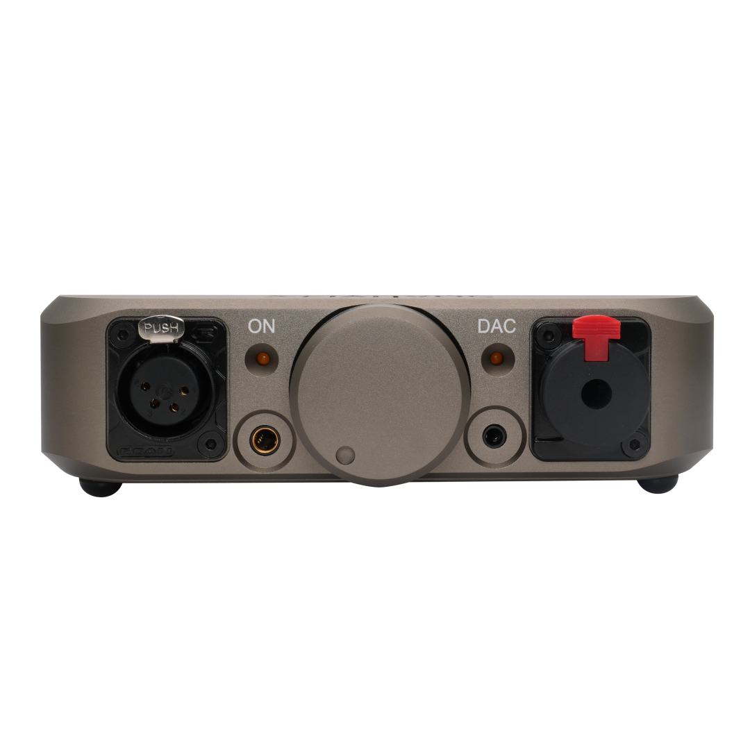FangSound Silenos Integrated D - đánh giá và giá R2R Dac Balanced Xlr