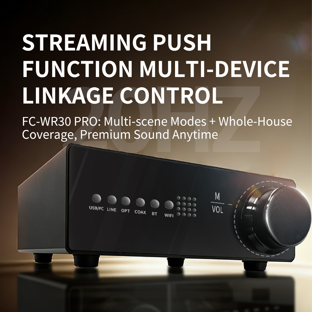 WR30 PRO WiFi Bluetooth Music  - đánh giá và giá Dac Streamer Network Player