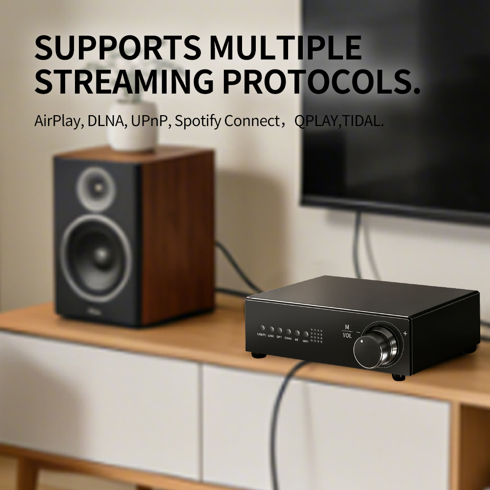 WR30 PRO WiFi Bluetooth Music  - đánh giá và giá Dac Streamer Network Player